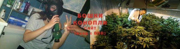 дживик Горнозаводск